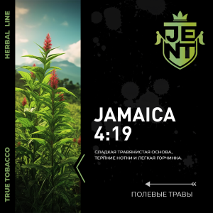 Jent Jamaica 4:19